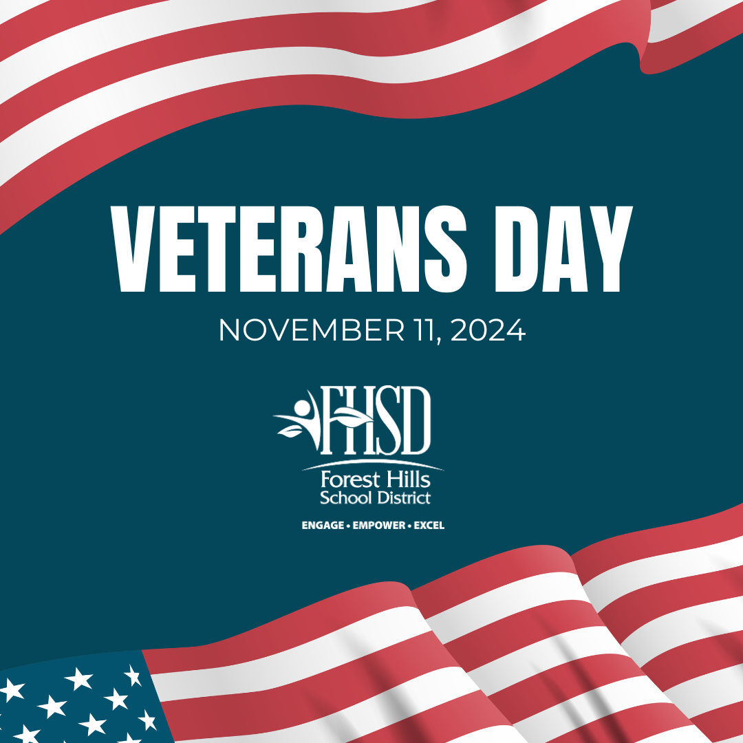 Veterans day November 11, 2024 graphic